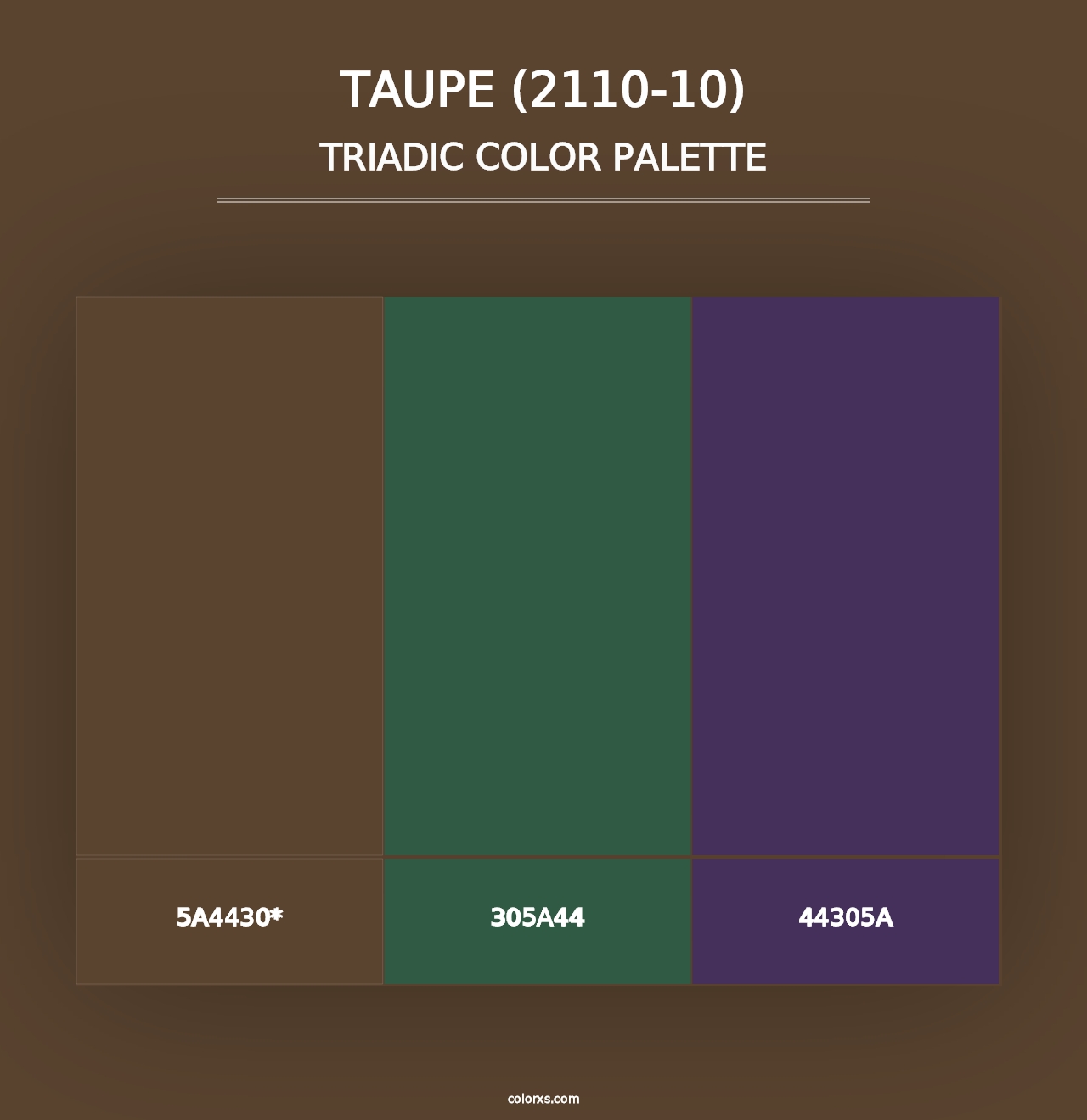 Taupe (2110-10) - Triadic Color Palette