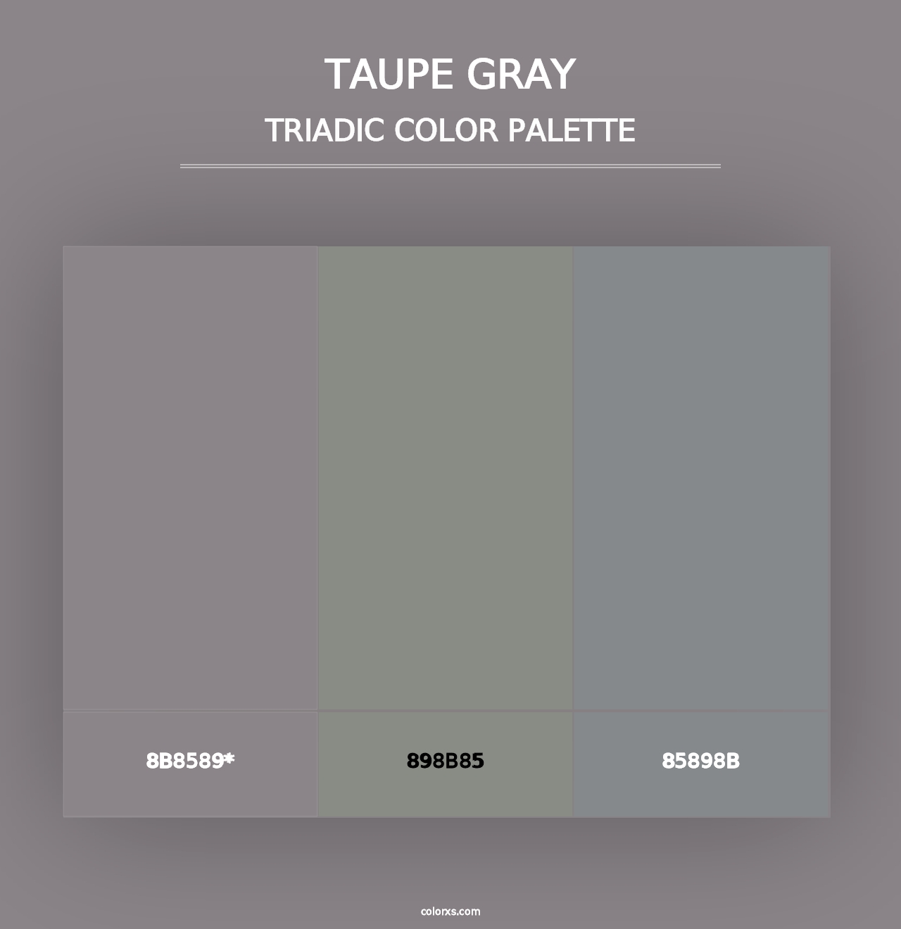 Taupe Gray - Triadic Color Palette