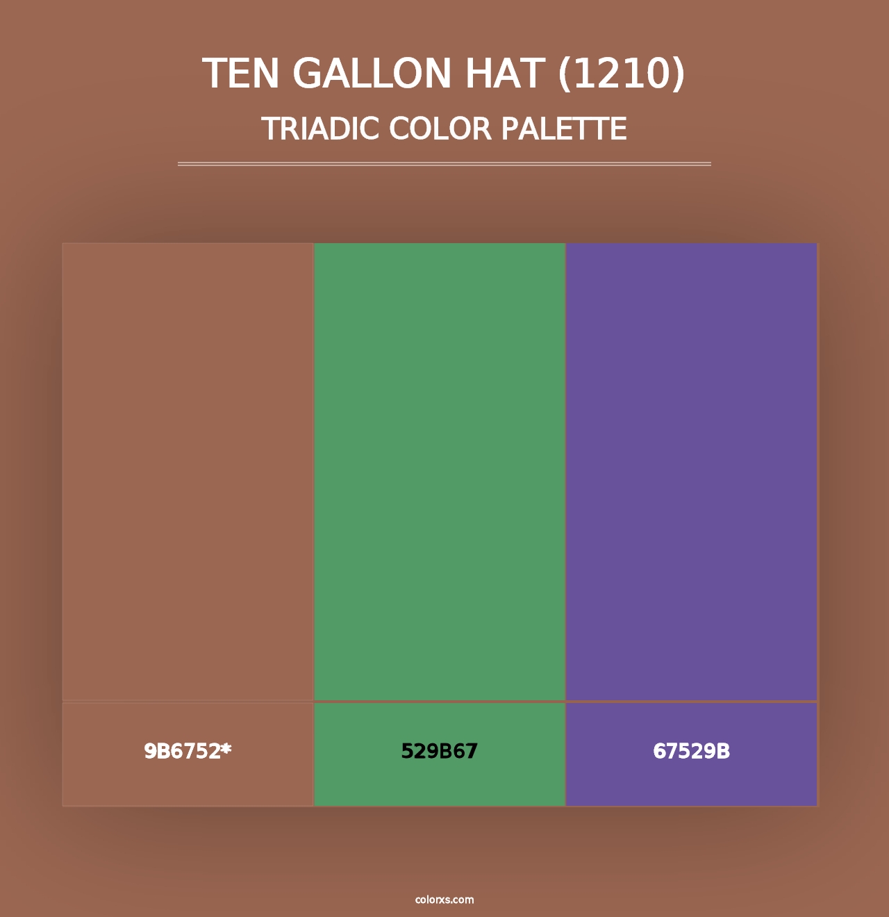 Ten Gallon Hat (1210) - Triadic Color Palette