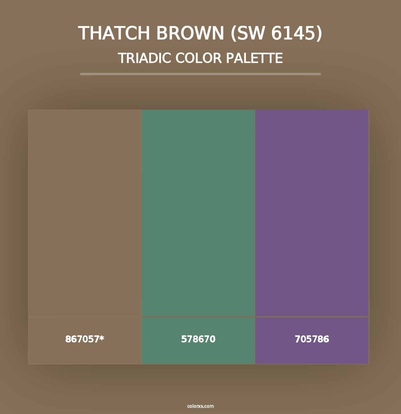 Thatch Brown (SW 6145) - Triadic Color Palette