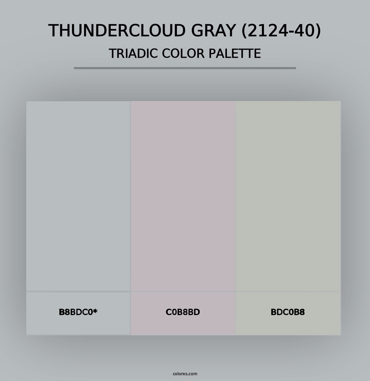 Thundercloud Gray (2124-40) - Triadic Color Palette