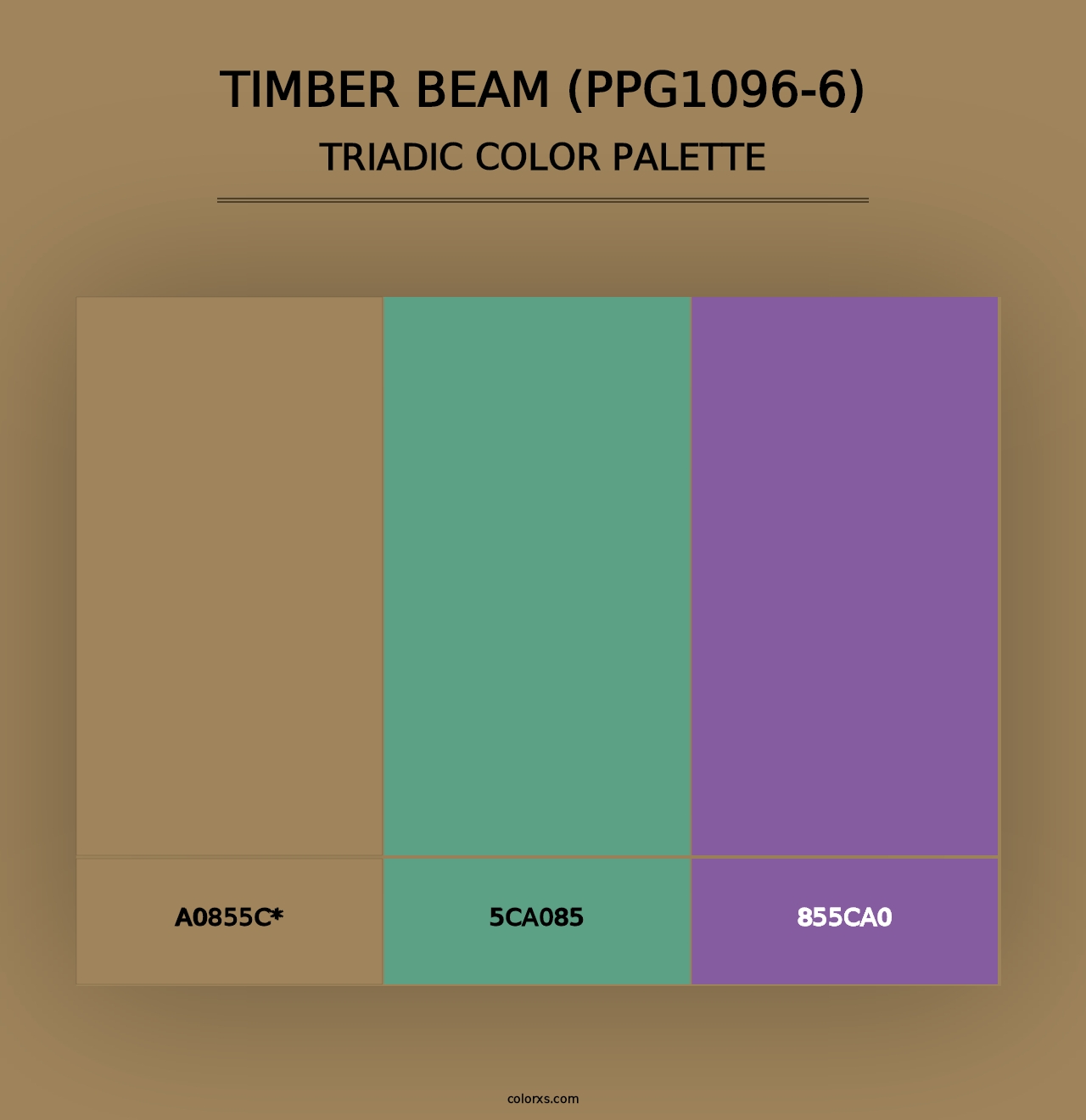 Timber Beam (PPG1096-6) - Triadic Color Palette