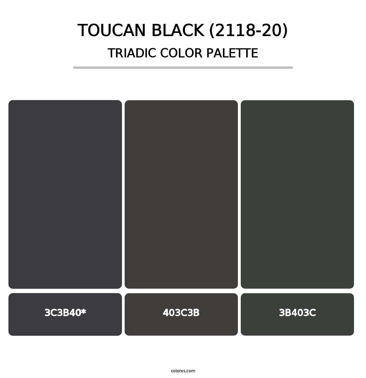 Toucan Black (2118-20) - Triadic Color Palette