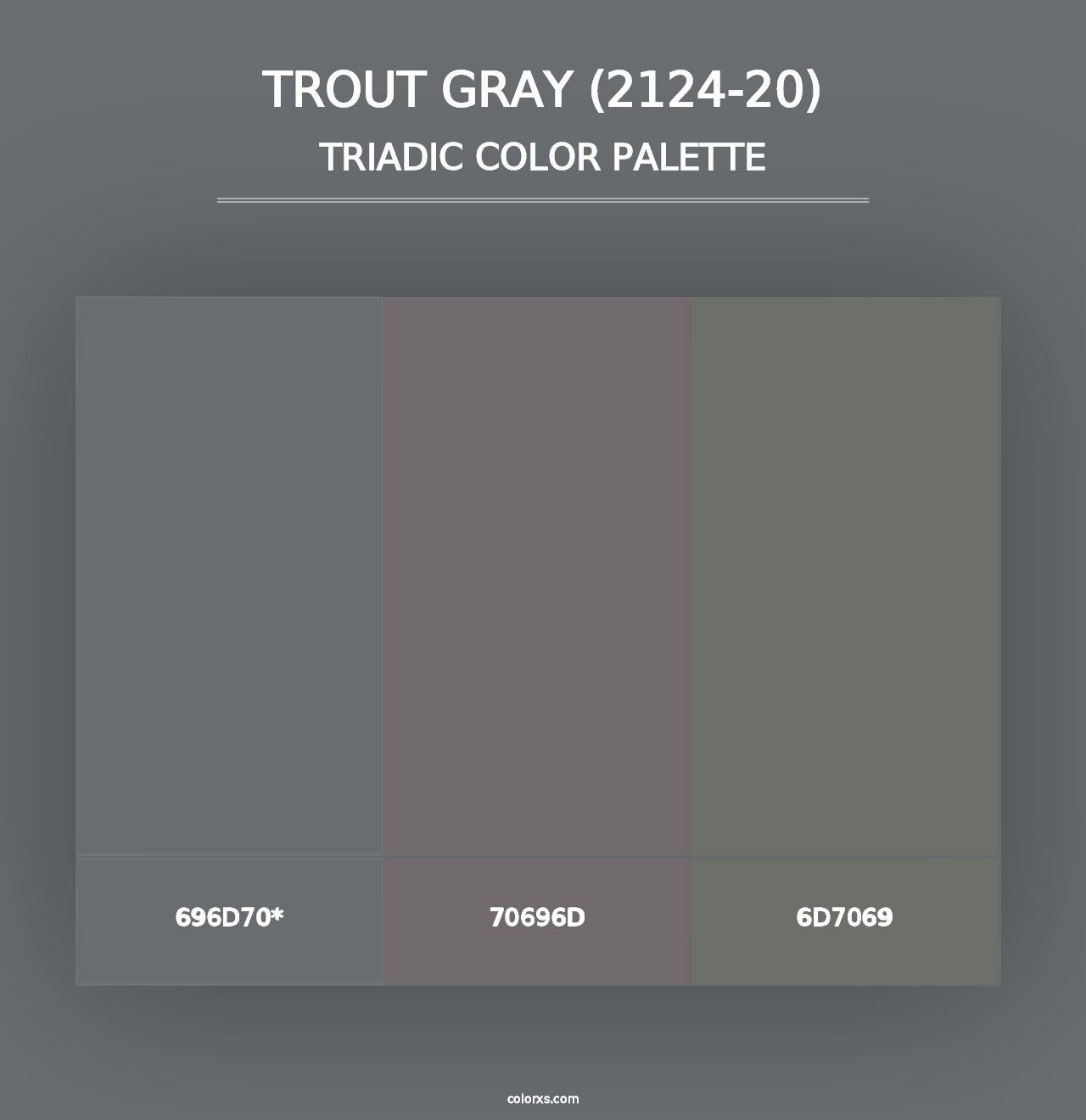 Trout Gray (2124-20) - Triadic Color Palette