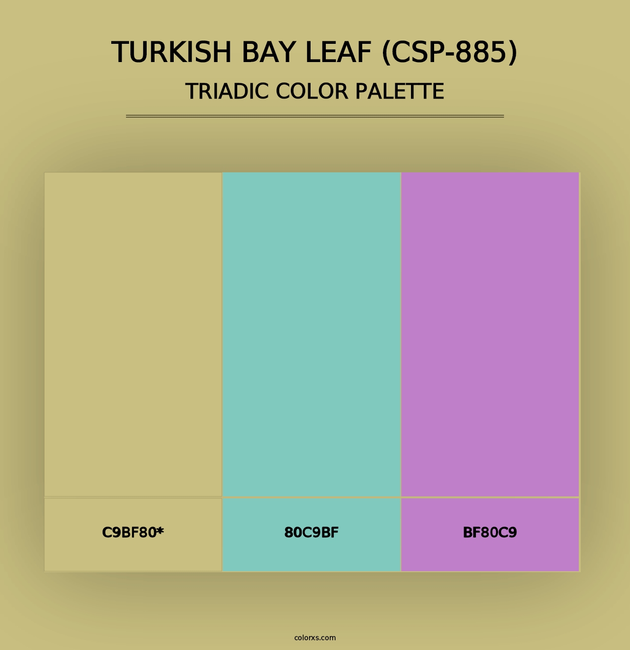 Turkish Bay Leaf (CSP-885) - Triadic Color Palette