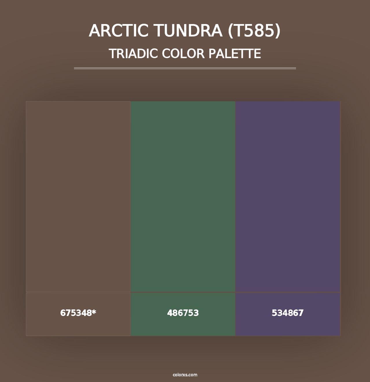 Arctic Tundra (T585) - Triadic Color Palette