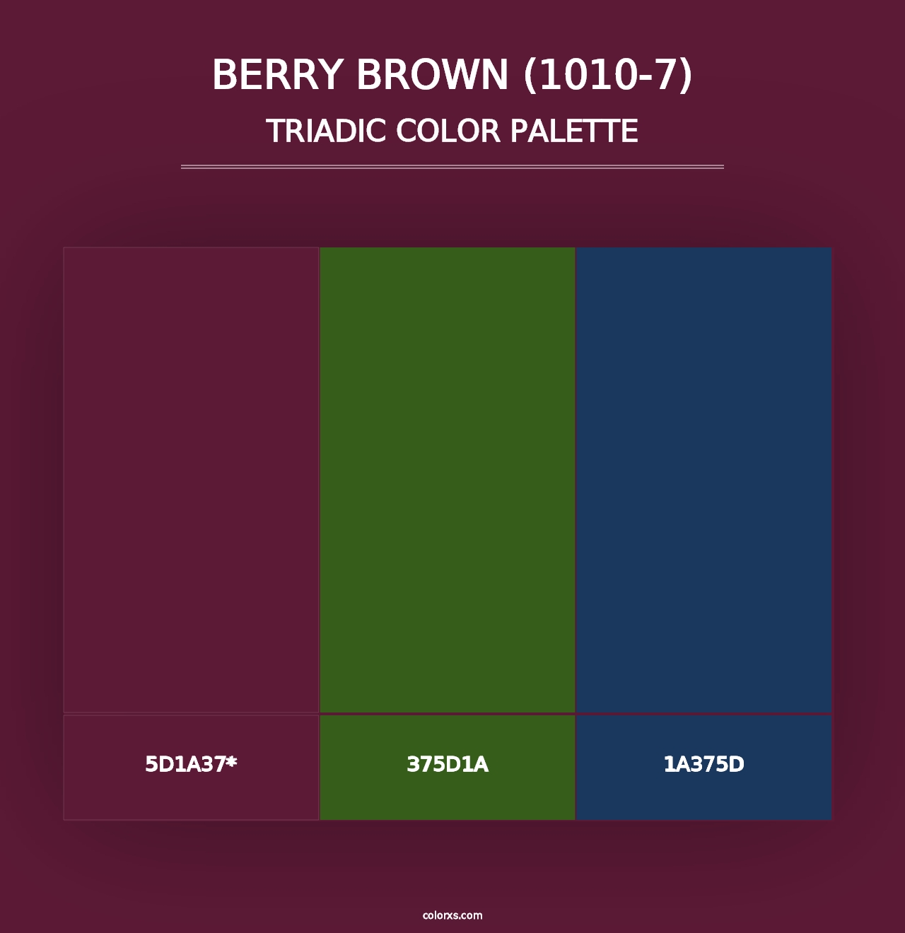 Berry Brown (1010-7) - Triadic Color Palette