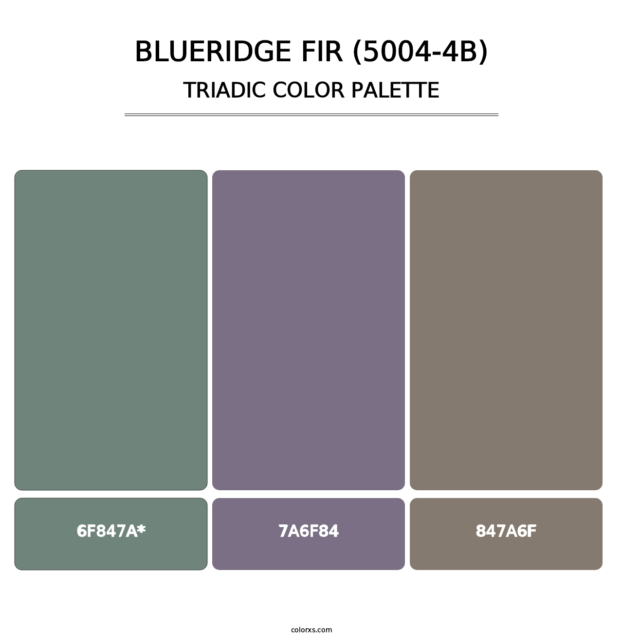 Blueridge Fir (5004-4B) - Triadic Color Palette