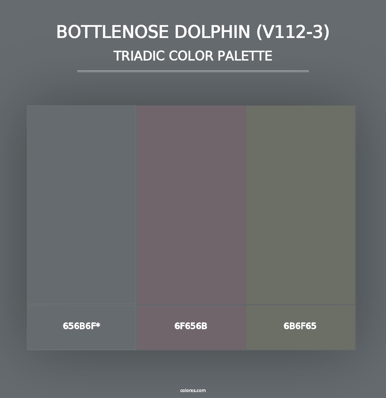 Bottlenose Dolphin (V112-3) - Triadic Color Palette