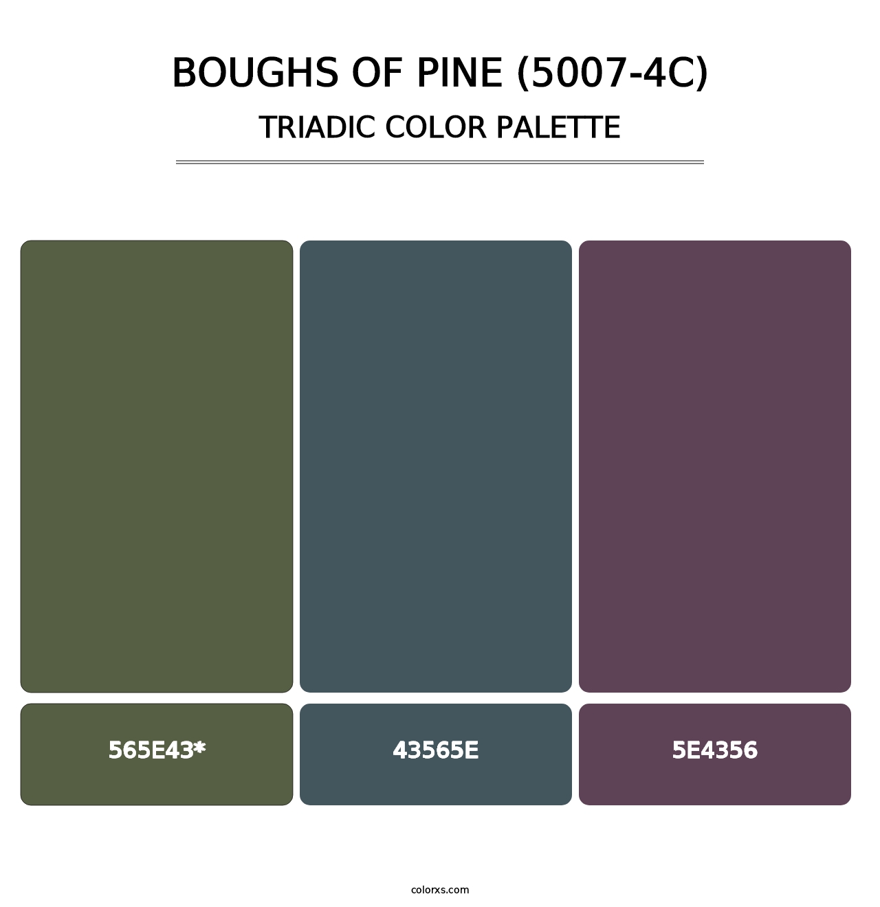 Boughs of Pine (5007-4C) - Triadic Color Palette