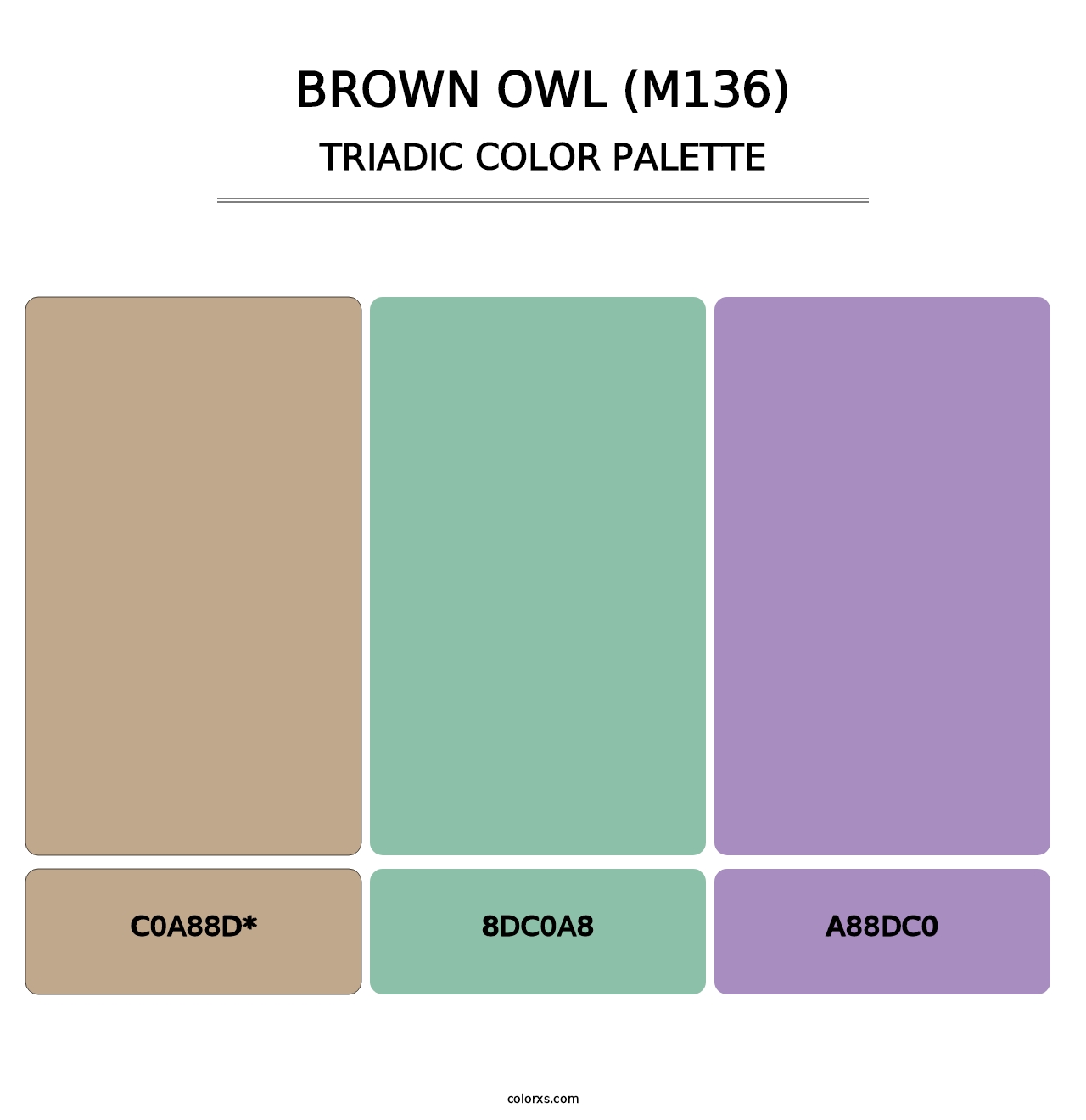 Brown Owl (M136) - Triadic Color Palette