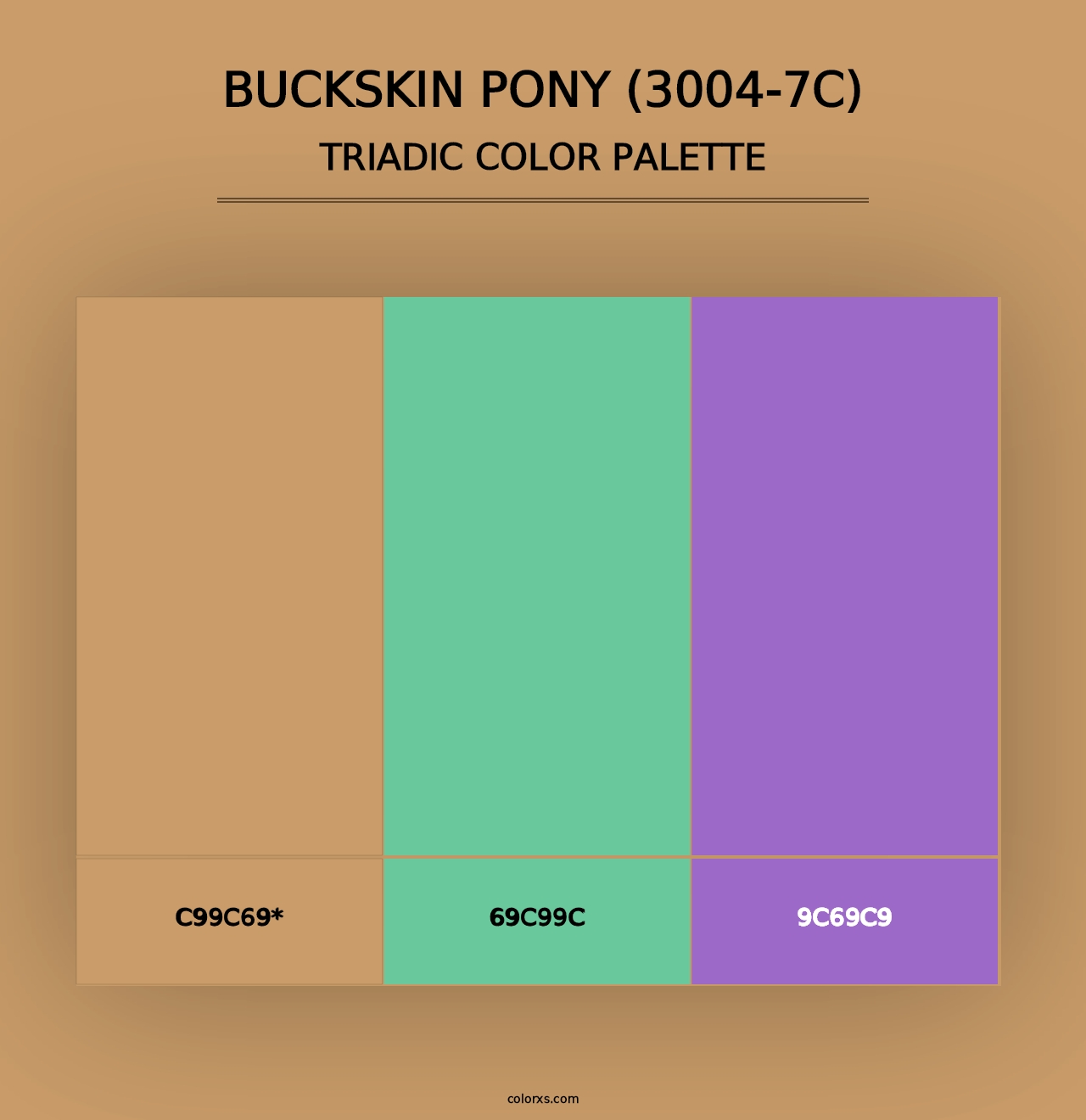 Buckskin Pony (3004-7C) - Triadic Color Palette