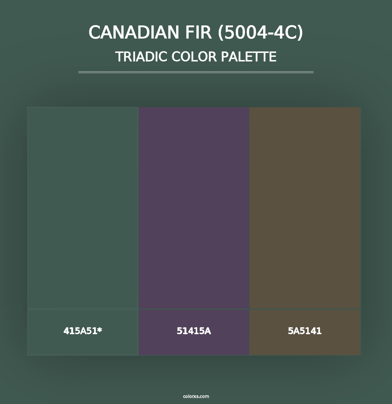 Canadian Fir (5004-4C) - Triadic Color Palette