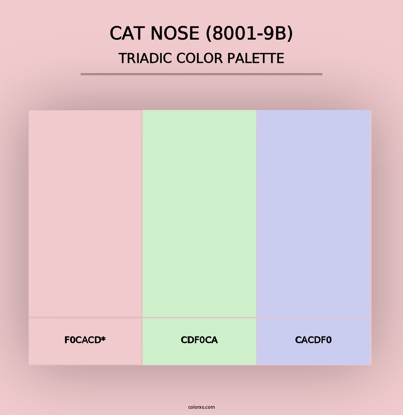 Cat Nose (8001-9B) - Triadic Color Palette