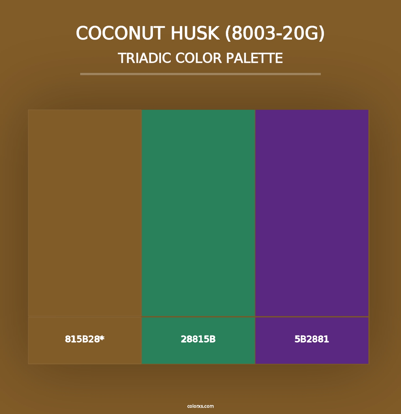 Coconut Husk (8003-20G) - Triadic Color Palette