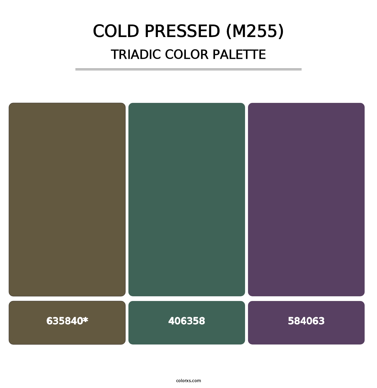 Cold Pressed (M255) - Triadic Color Palette