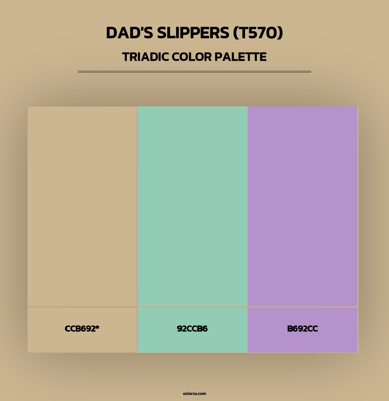 Dad's Slippers (T570) - Triadic Color Palette