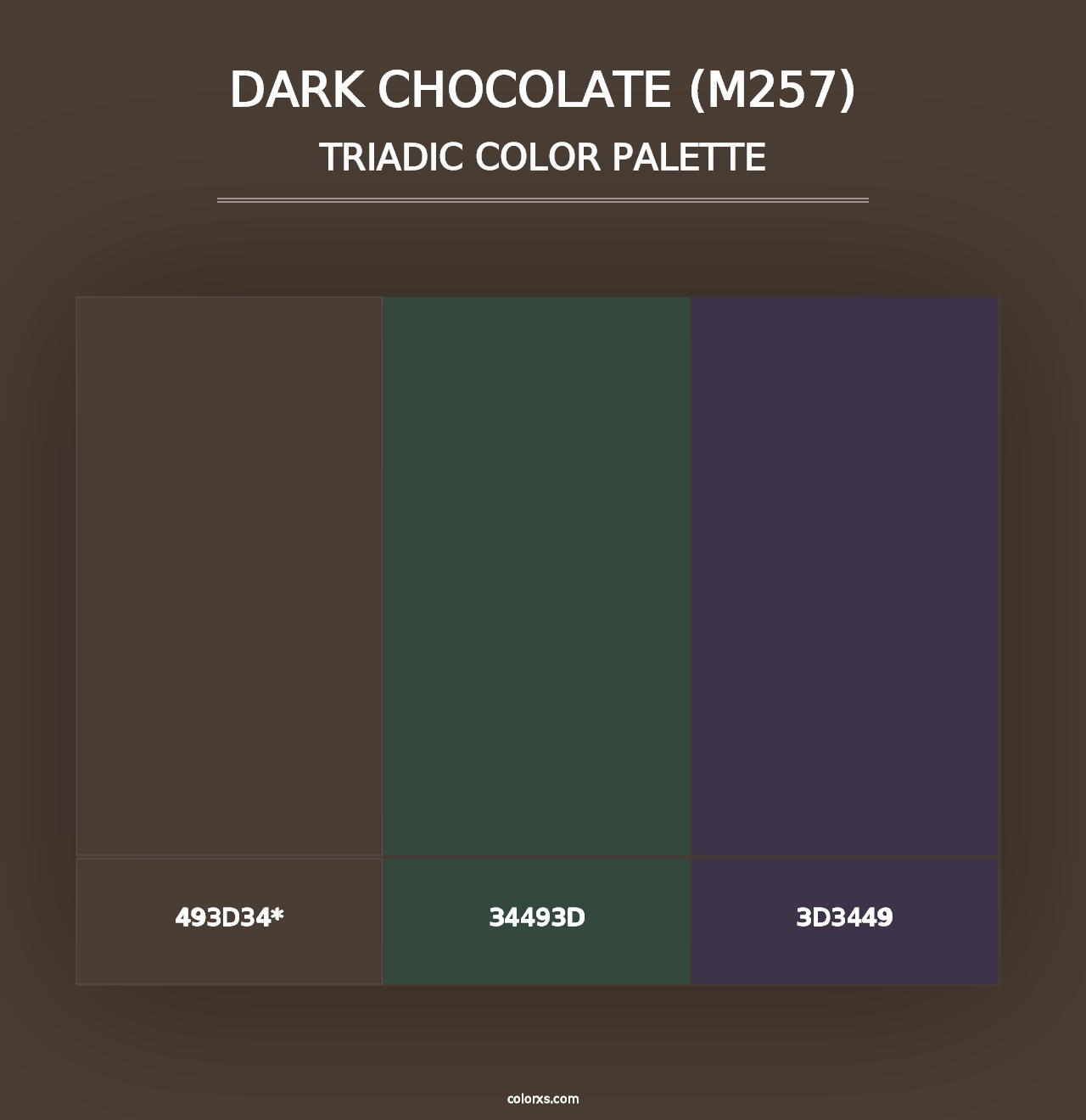 Dark Chocolate (M257) - Triadic Color Palette