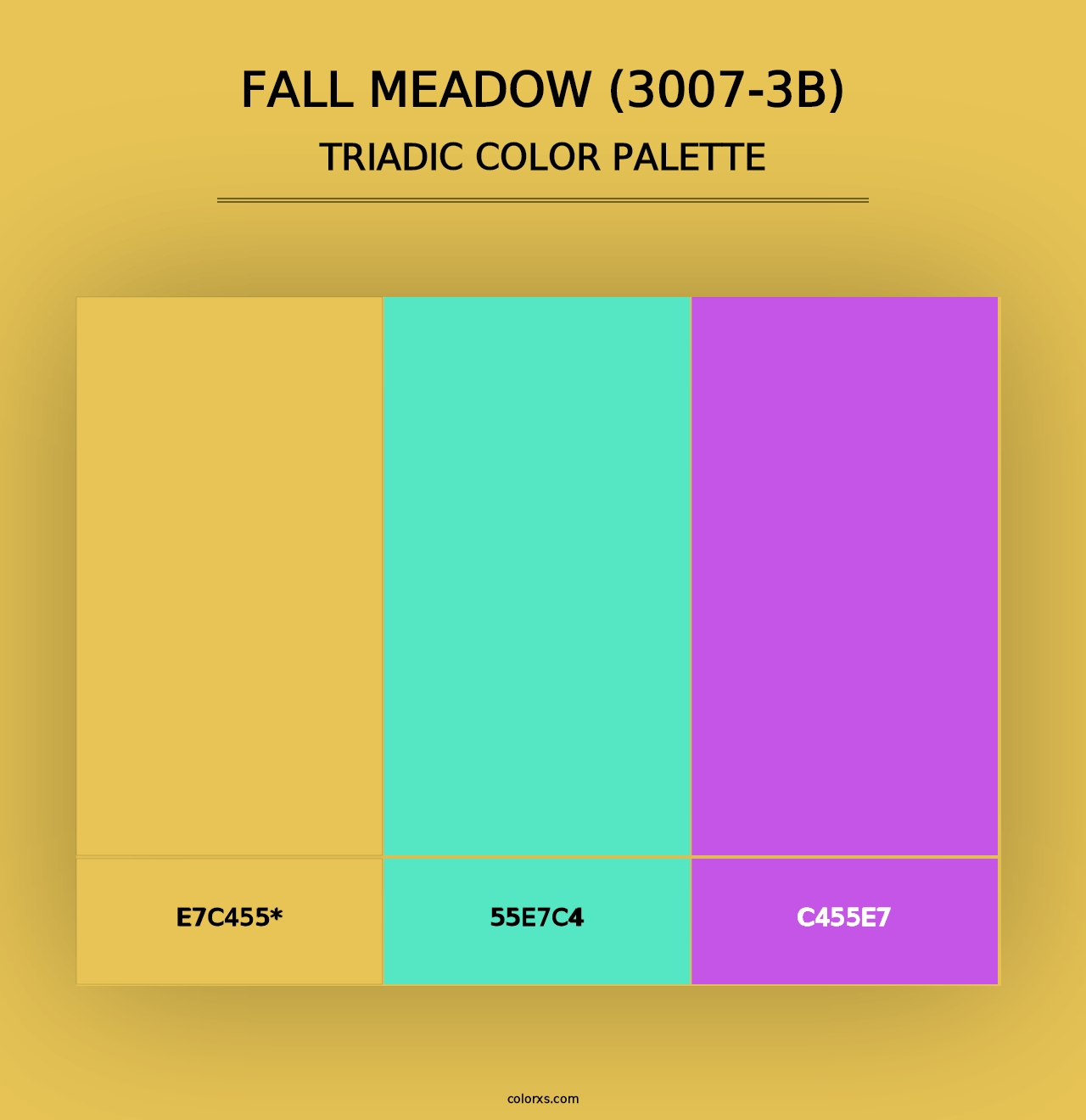 Fall Meadow (3007-3B) - Triadic Color Palette