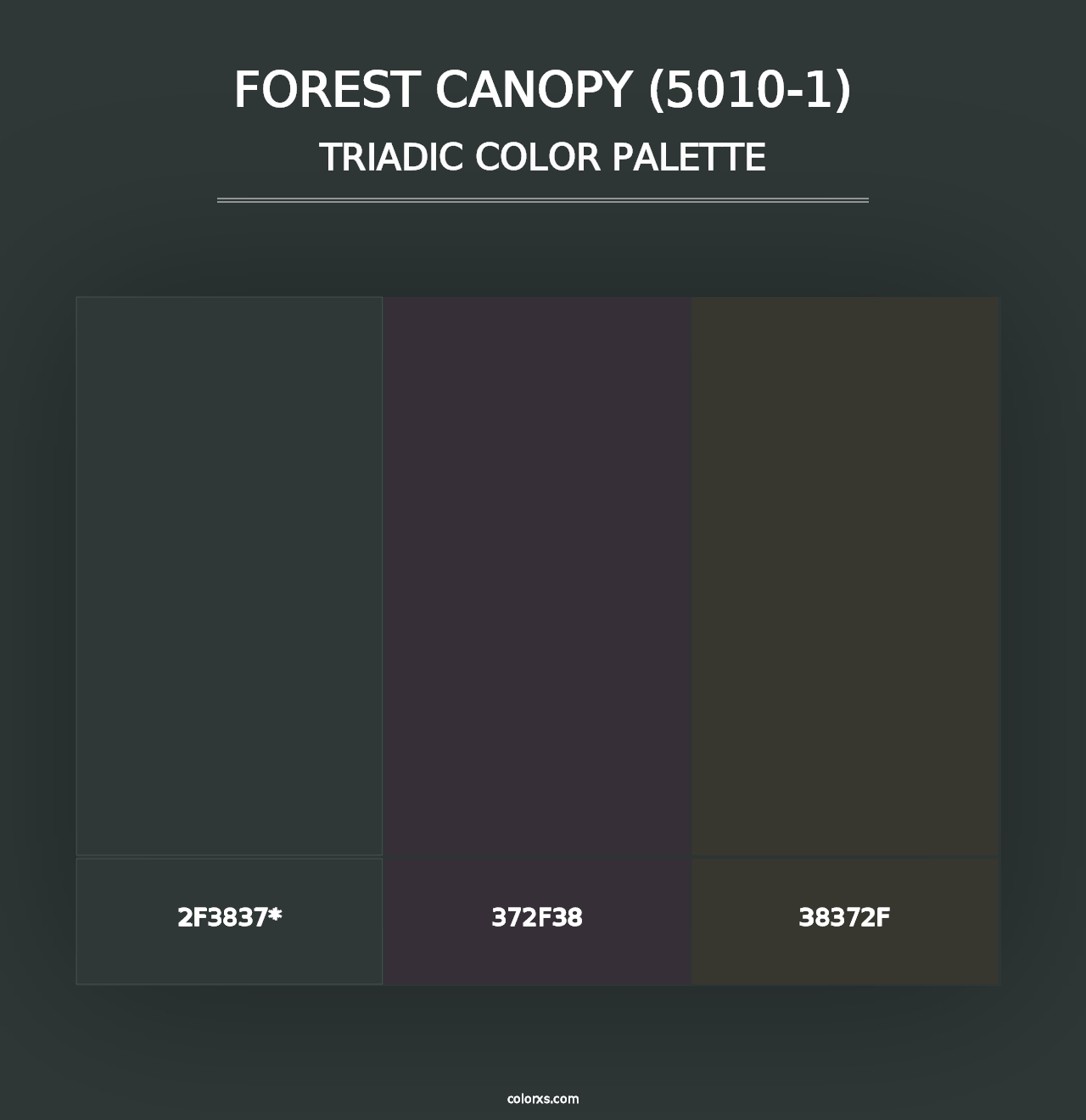 Forest Canopy (5010-1) - Triadic Color Palette