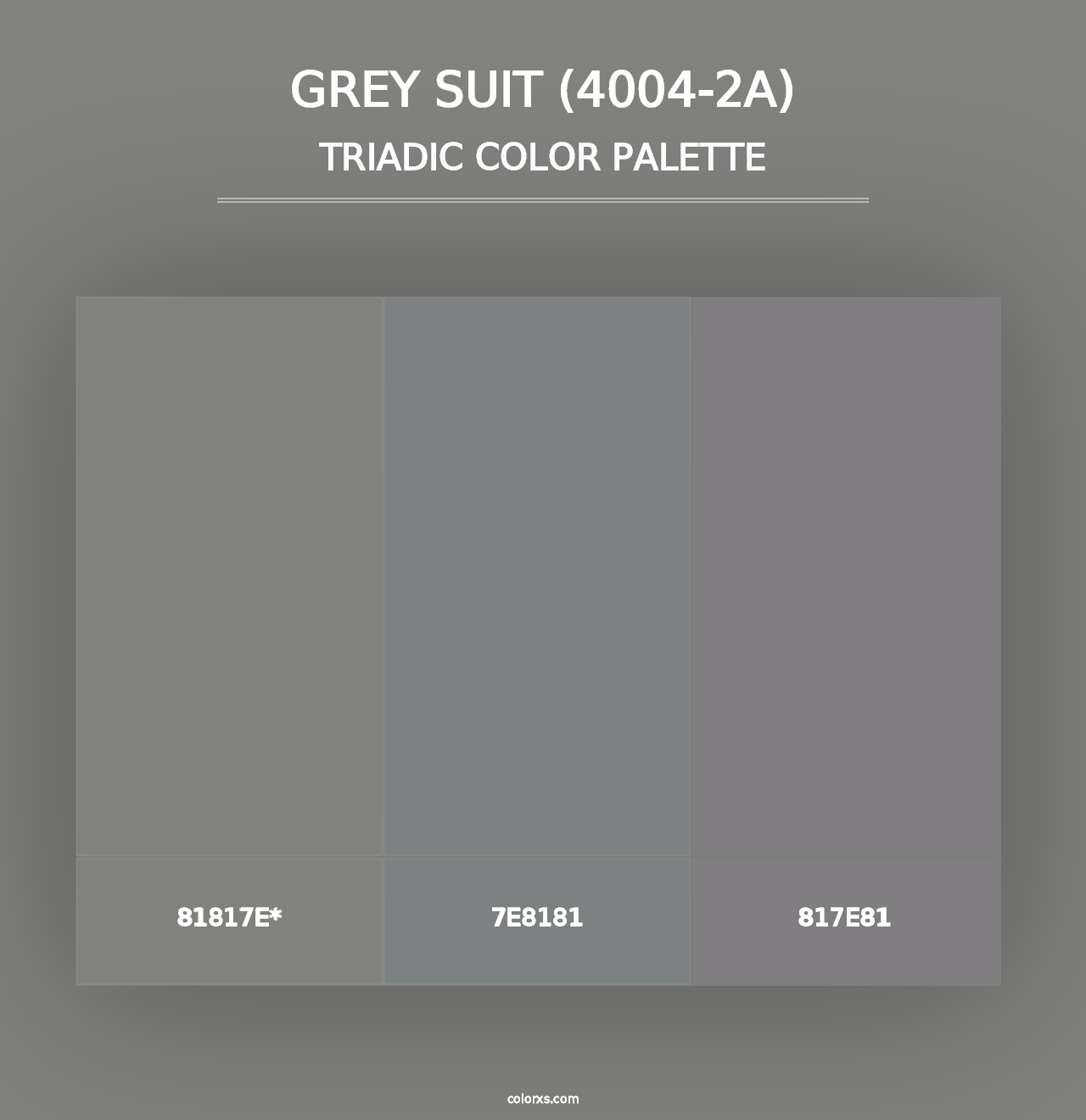 Grey Suit (4004-2A) - Triadic Color Palette