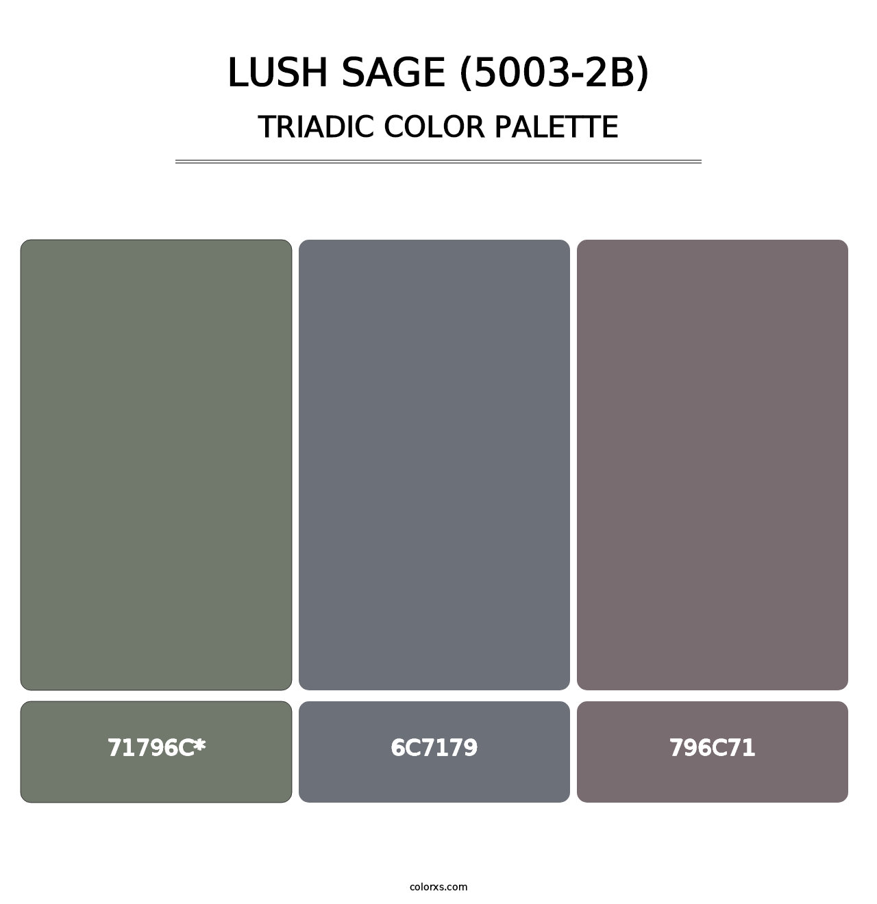 Lush Sage (5003-2B) - Triadic Color Palette