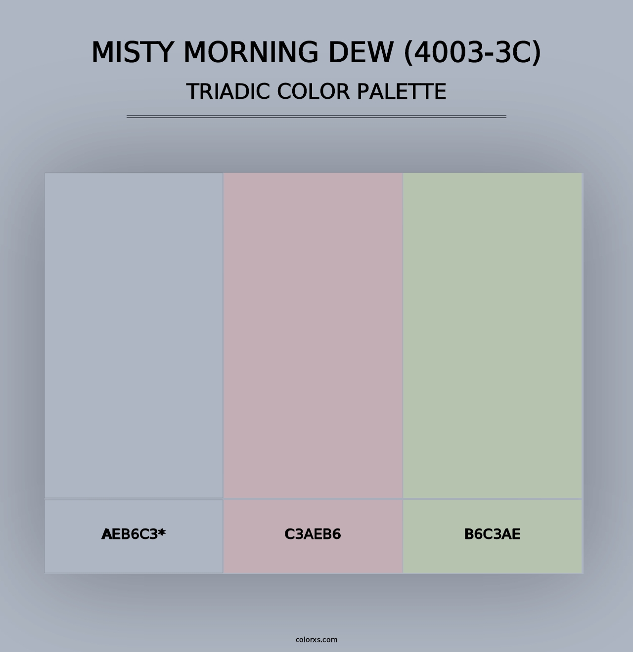 Misty Morning Dew (4003-3C) - Triadic Color Palette