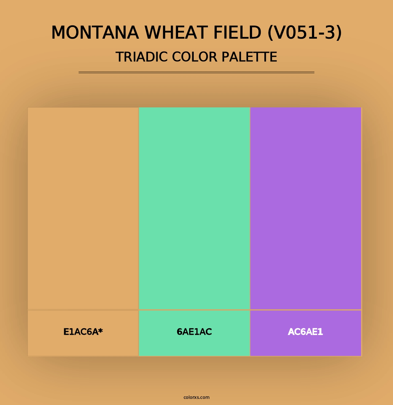 Montana Wheat Field (V051-3) - Triadic Color Palette