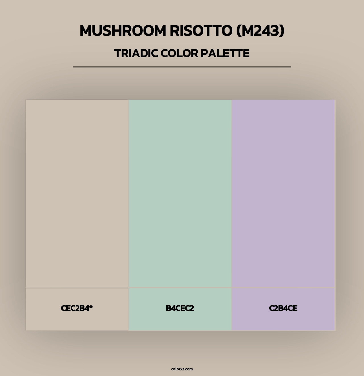 Mushroom Risotto (M243) - Triadic Color Palette