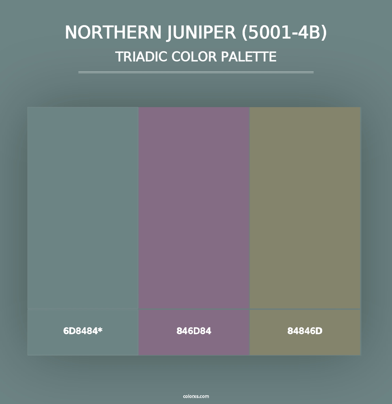 Northern Juniper (5001-4B) - Triadic Color Palette