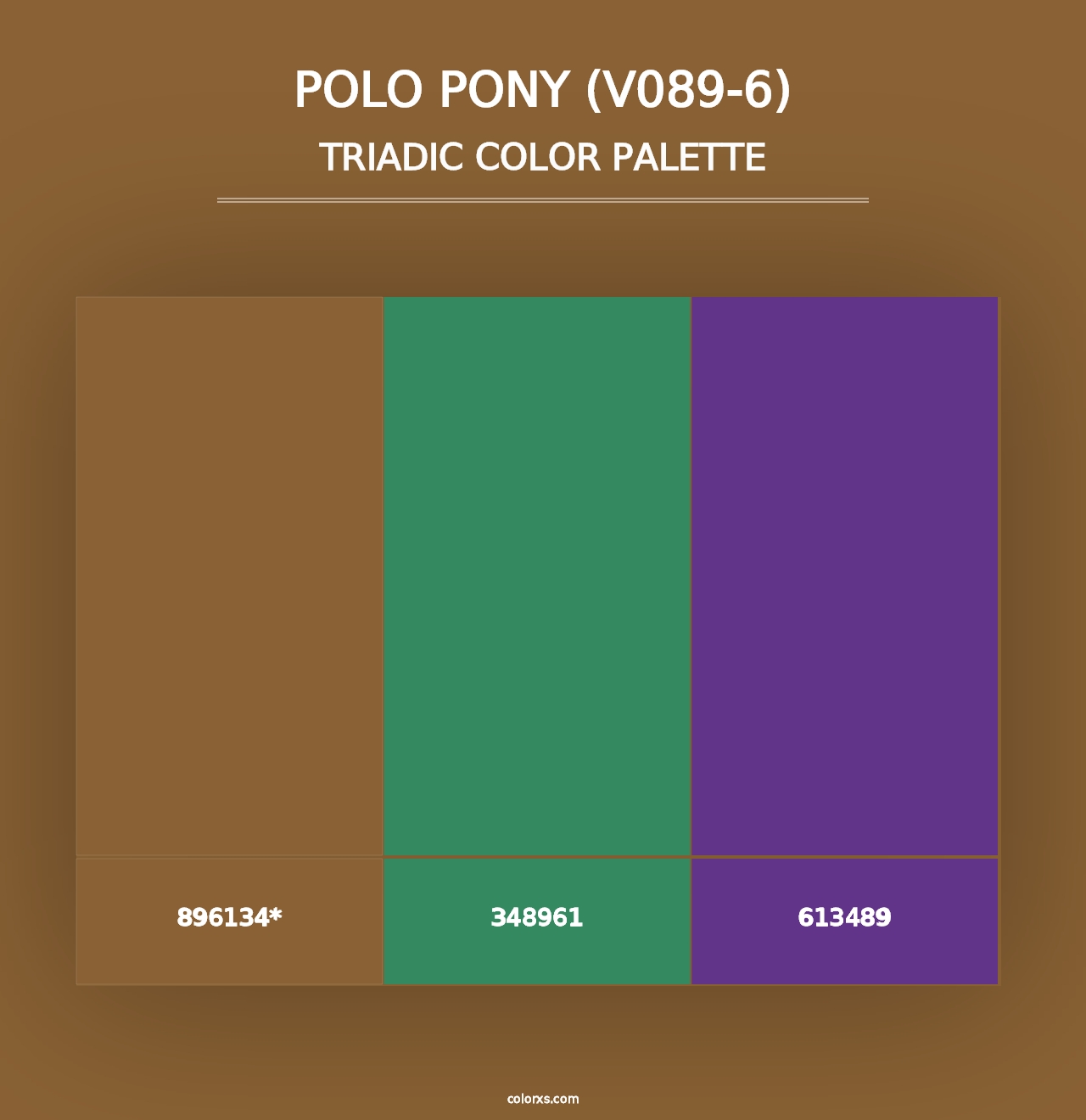 Polo Pony (V089-6) - Triadic Color Palette