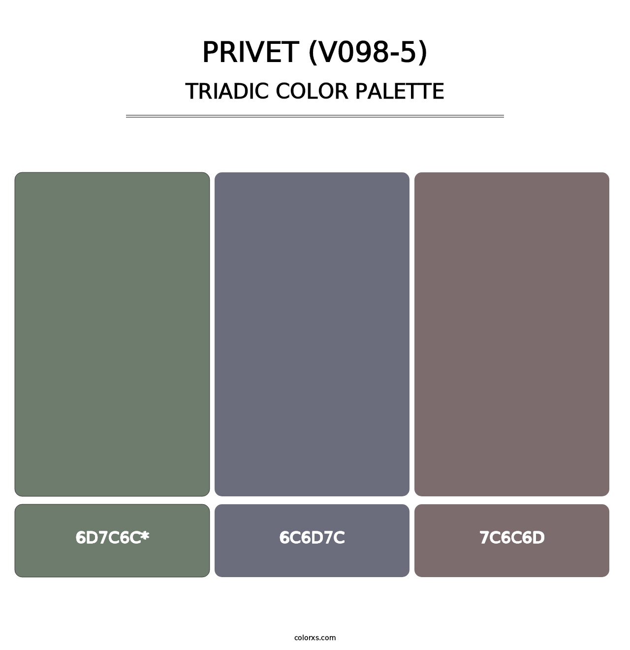 Privet (V098-5) - Triadic Color Palette