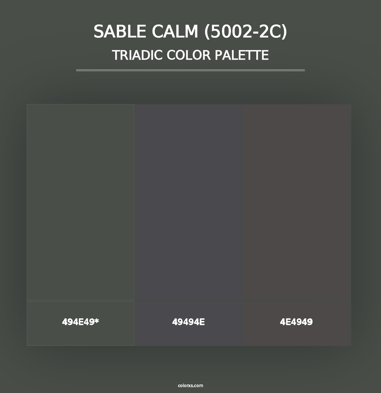 Sable Calm (5002-2C) - Triadic Color Palette