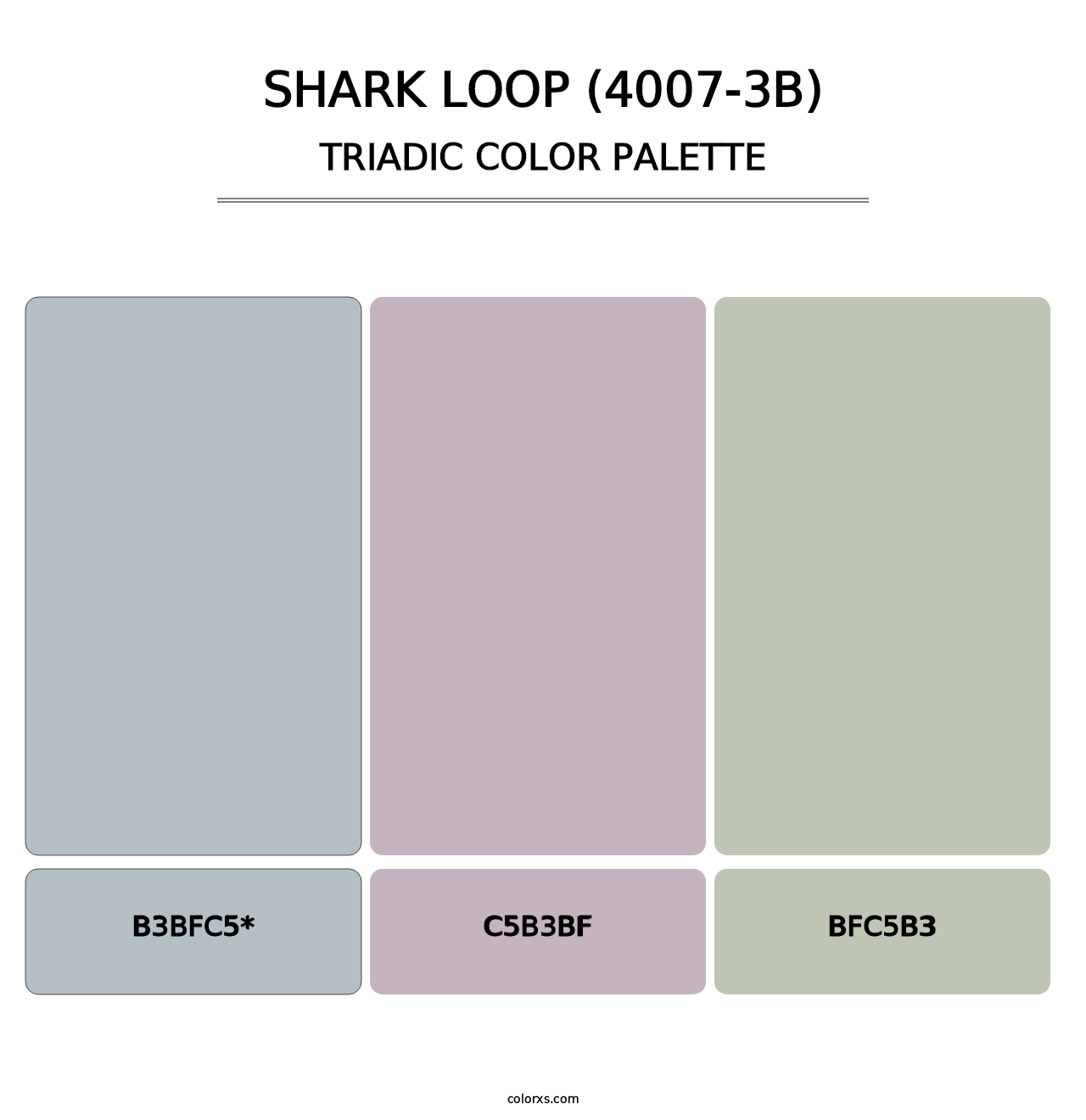 Shark Loop (4007-3B) - Triadic Color Palette