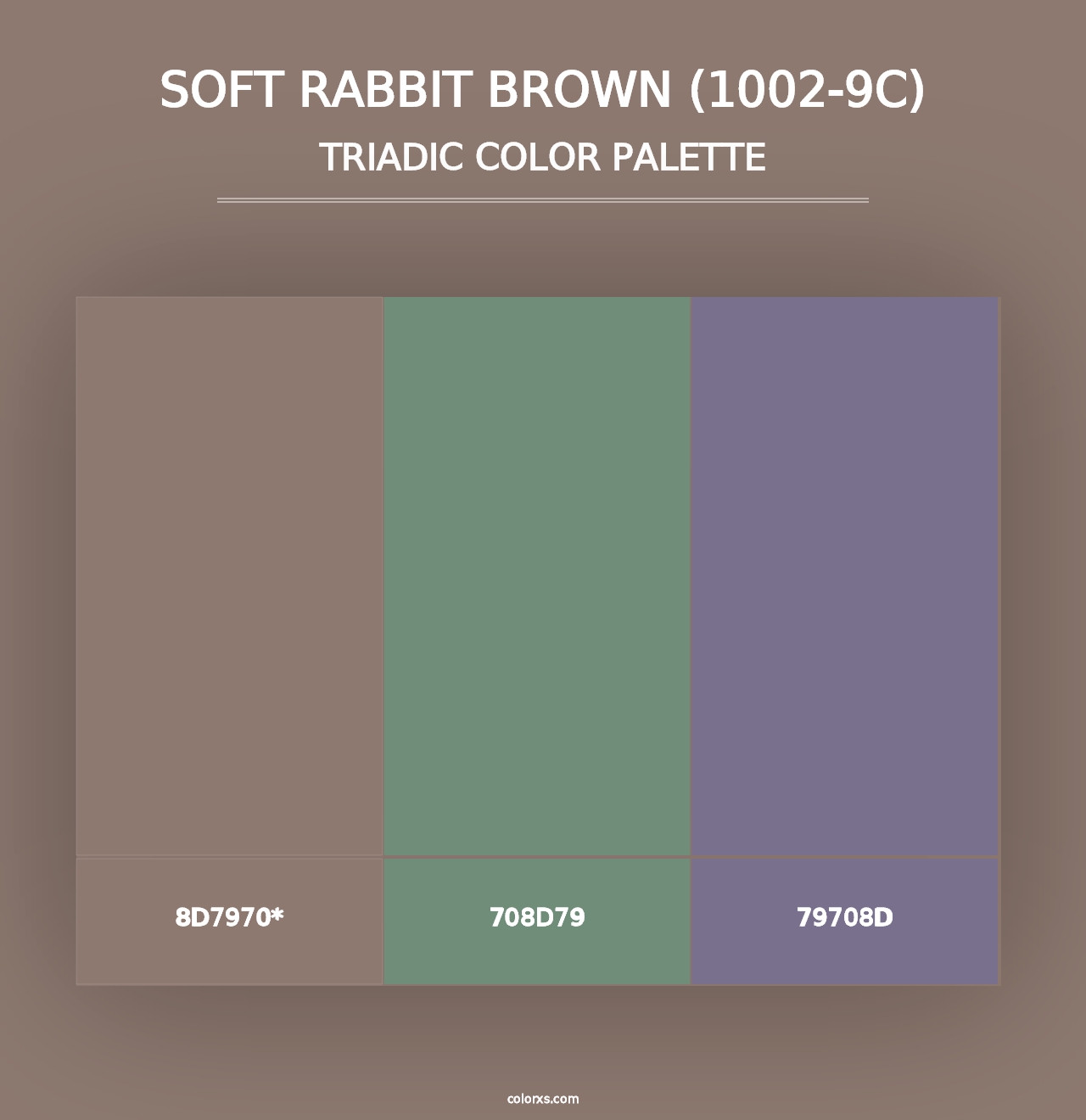 Soft Rabbit Brown (1002-9C) - Triadic Color Palette