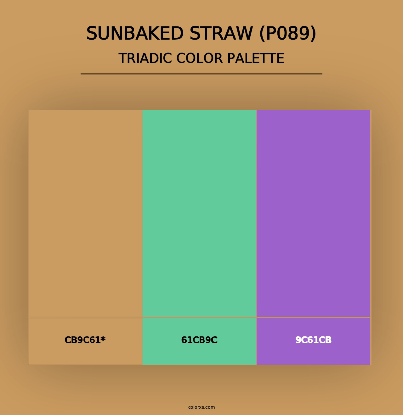 Sunbaked Straw (P089) - Triadic Color Palette