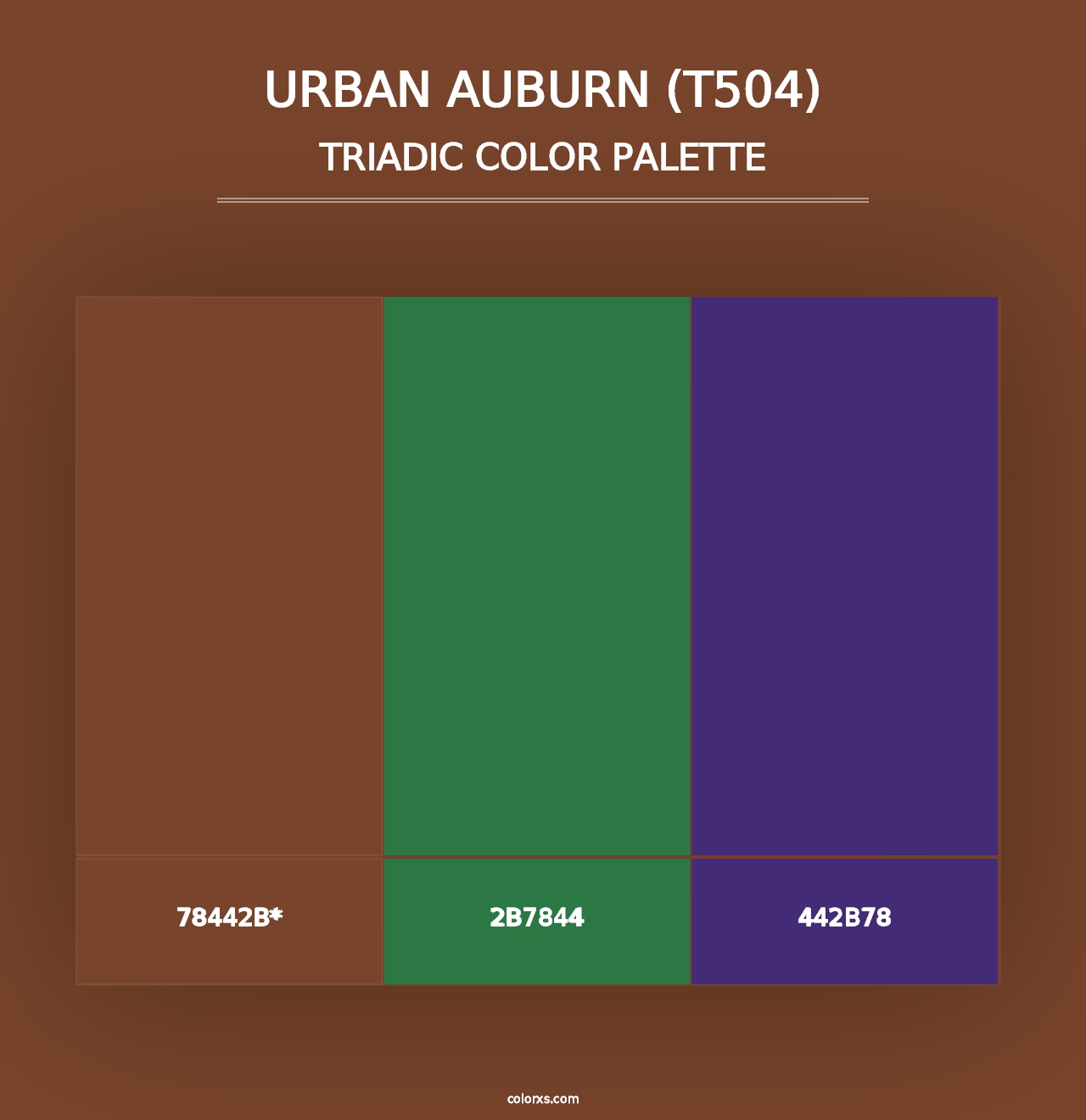 Urban Auburn (T504) - Triadic Color Palette