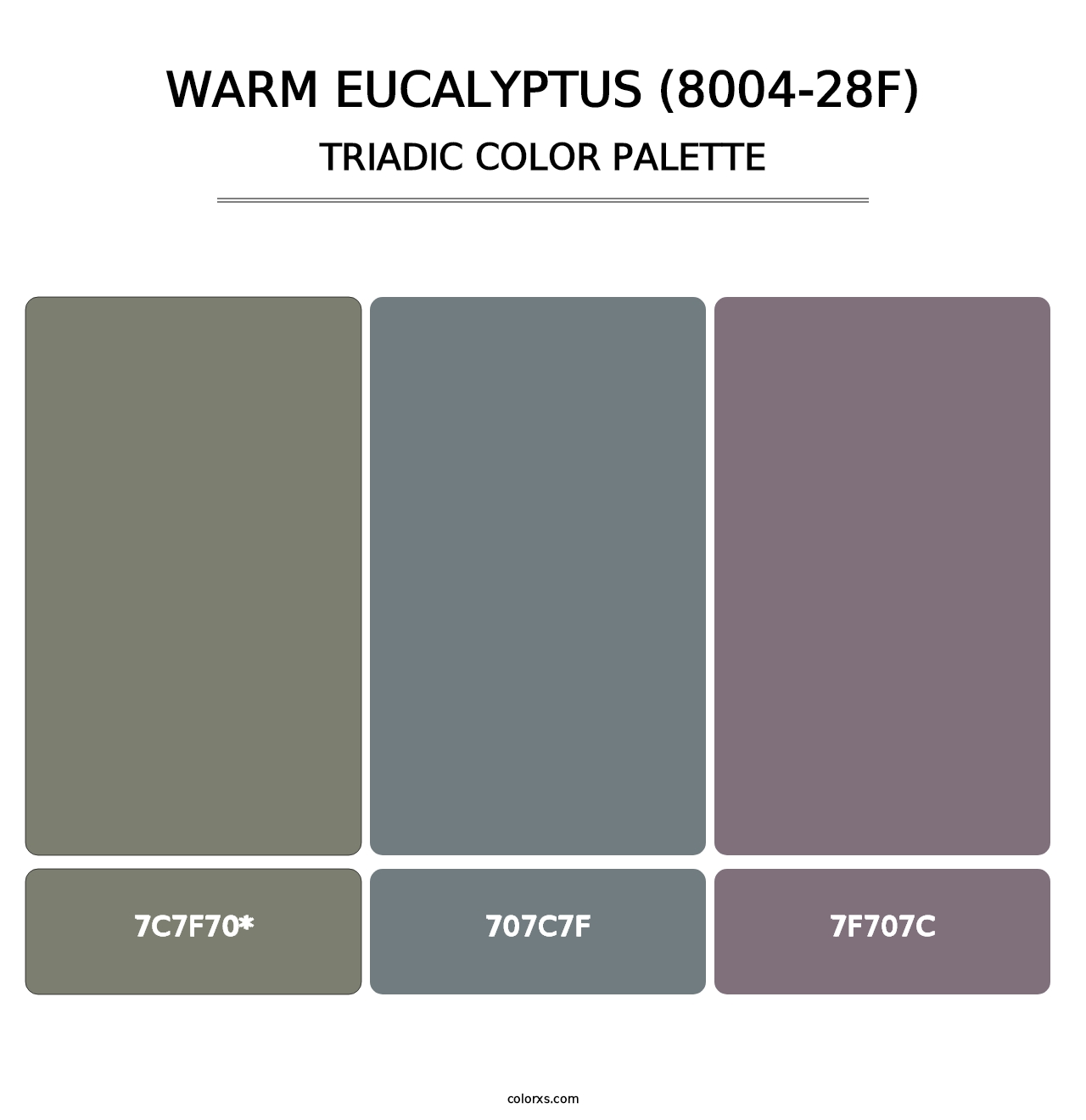 Warm Eucalyptus (8004-28F) - Triadic Color Palette