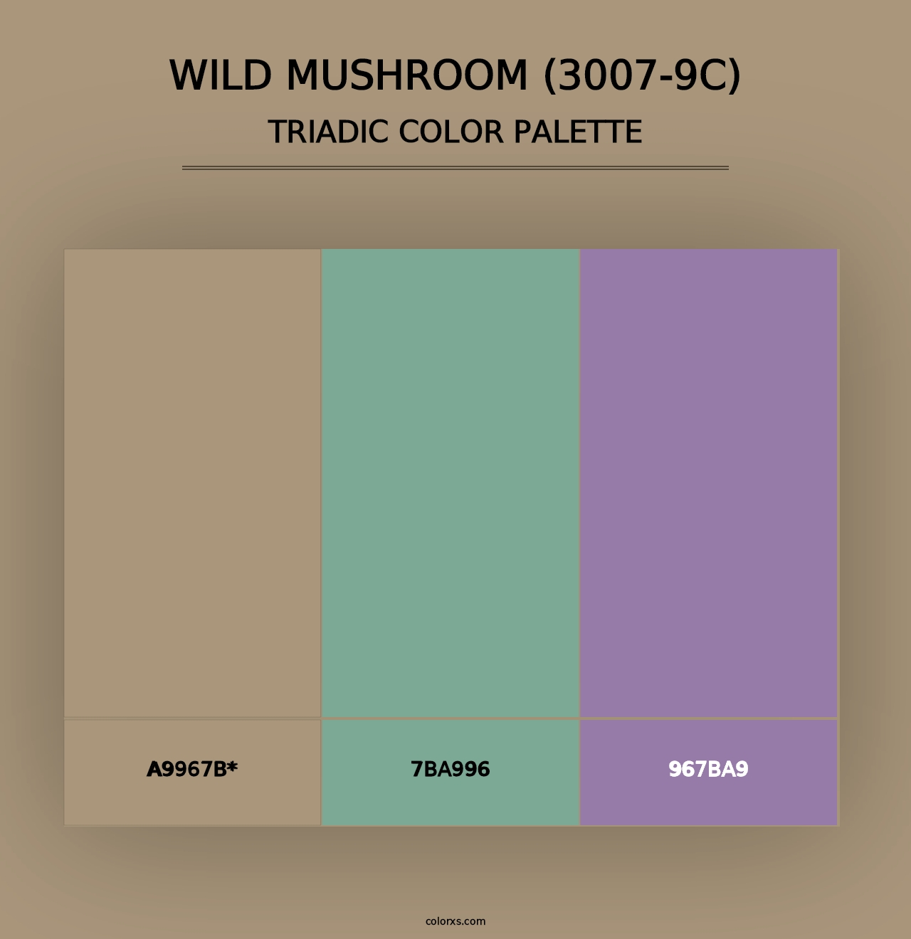 Wild Mushroom (3007-9C) - Triadic Color Palette