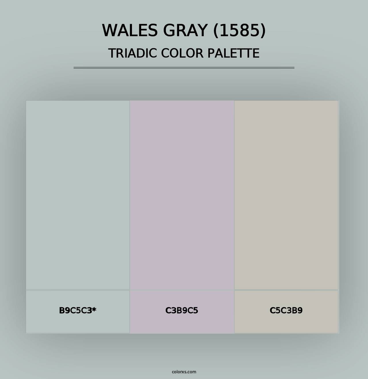 Wales Gray (1585) - Triadic Color Palette