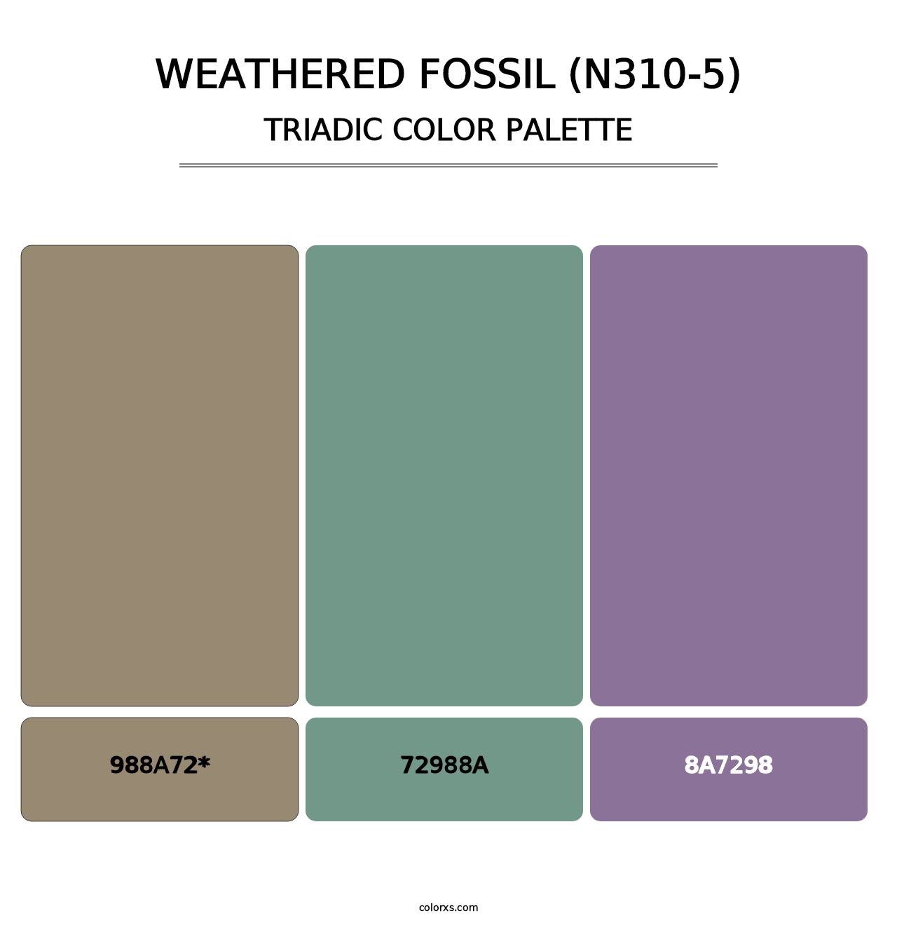 Weathered Fossil (N310-5) - Triadic Color Palette