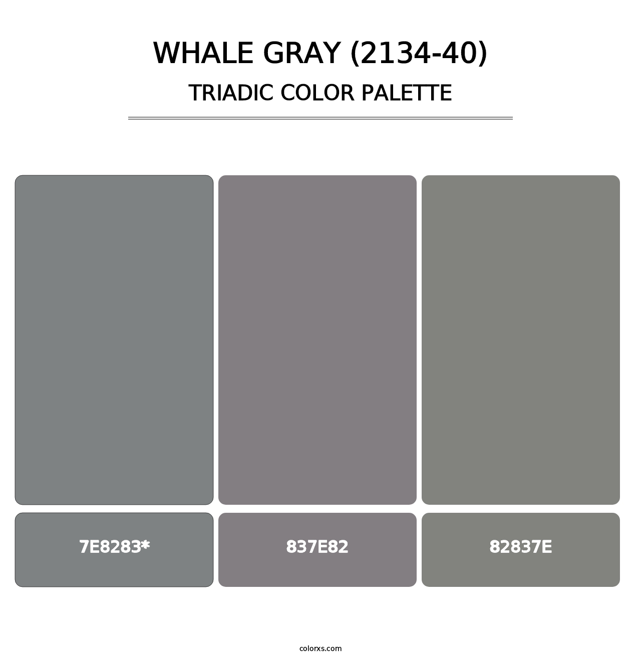 Whale Gray (2134-40) - Triadic Color Palette