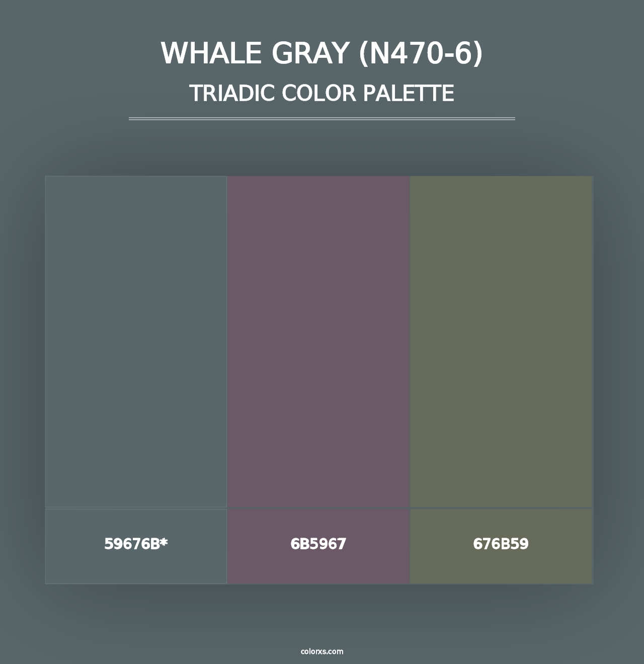 Whale Gray (N470-6) - Triadic Color Palette