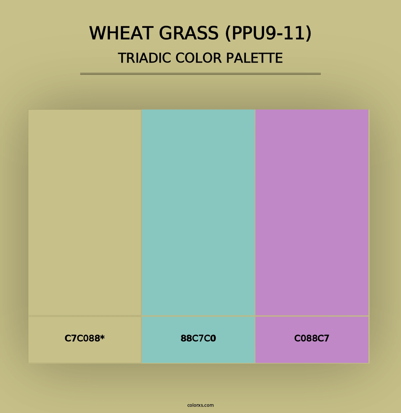 Wheat Grass (PPU9-11) - Triadic Color Palette