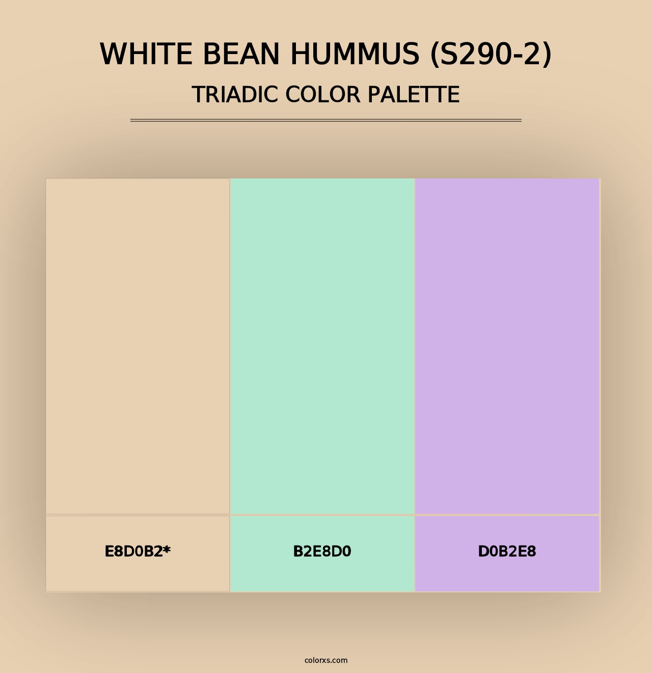 White Bean Hummus (S290-2) - Triadic Color Palette