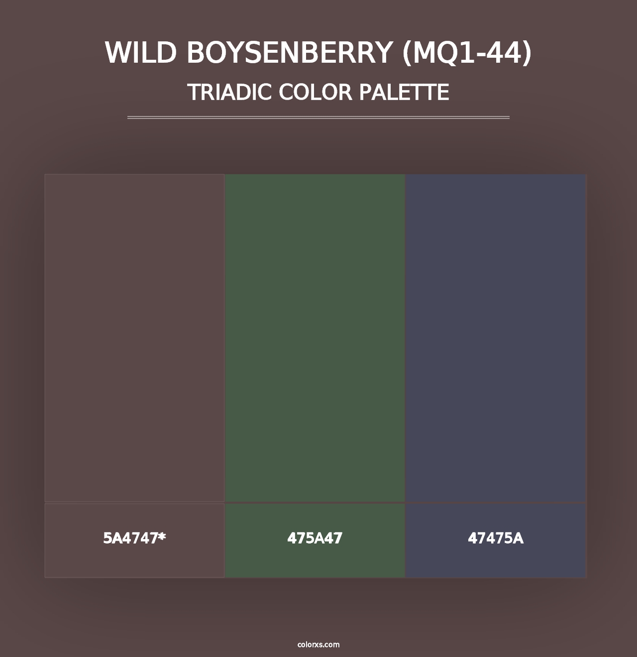 Wild Boysenberry (MQ1-44) - Triadic Color Palette