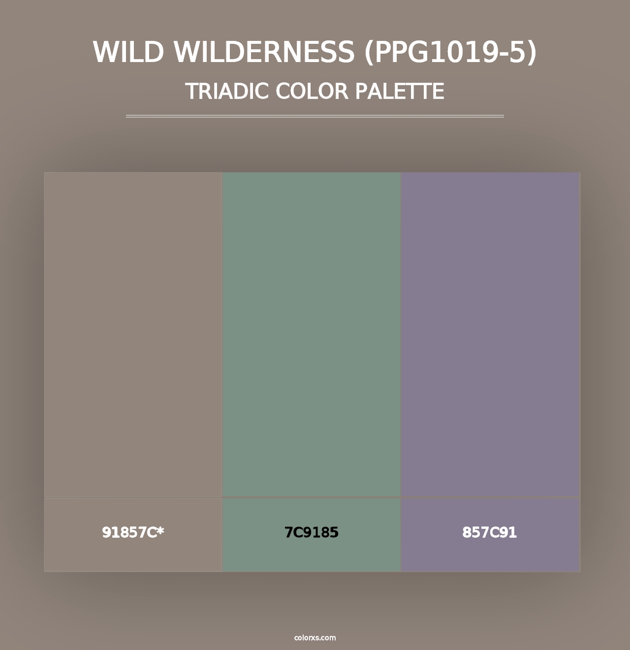 Wild Wilderness (PPG1019-5) - Triadic Color Palette