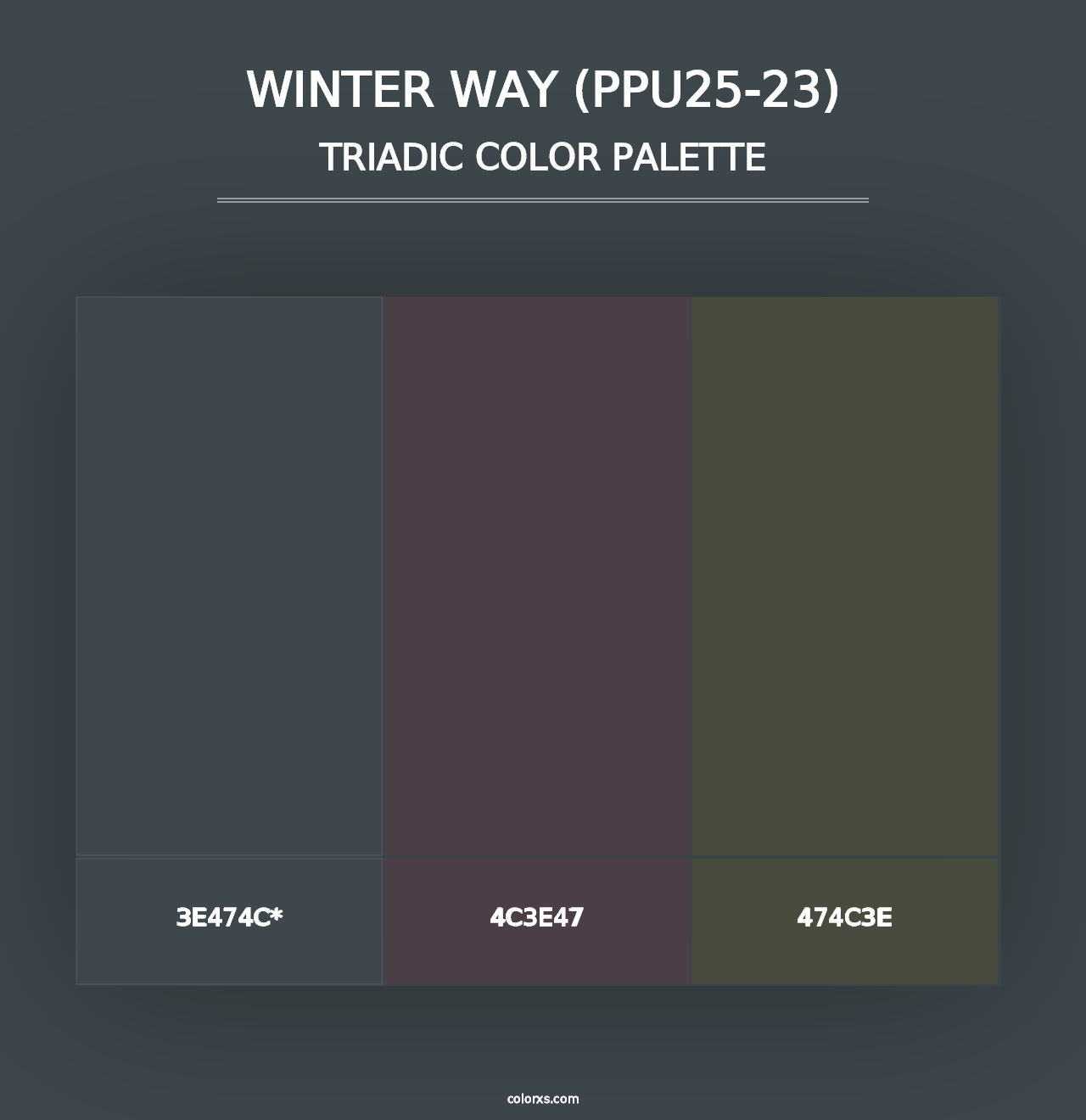 Winter Way (PPU25-23) - Triadic Color Palette