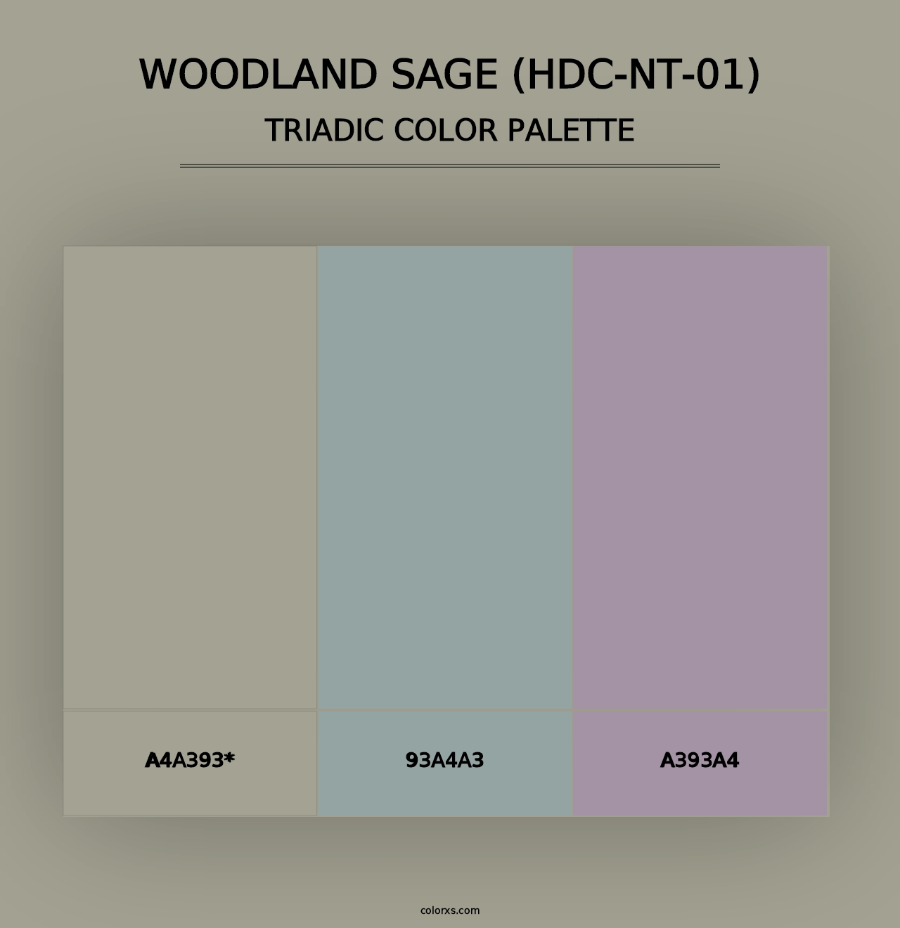 Woodland Sage (HDC-NT-01) - Triadic Color Palette