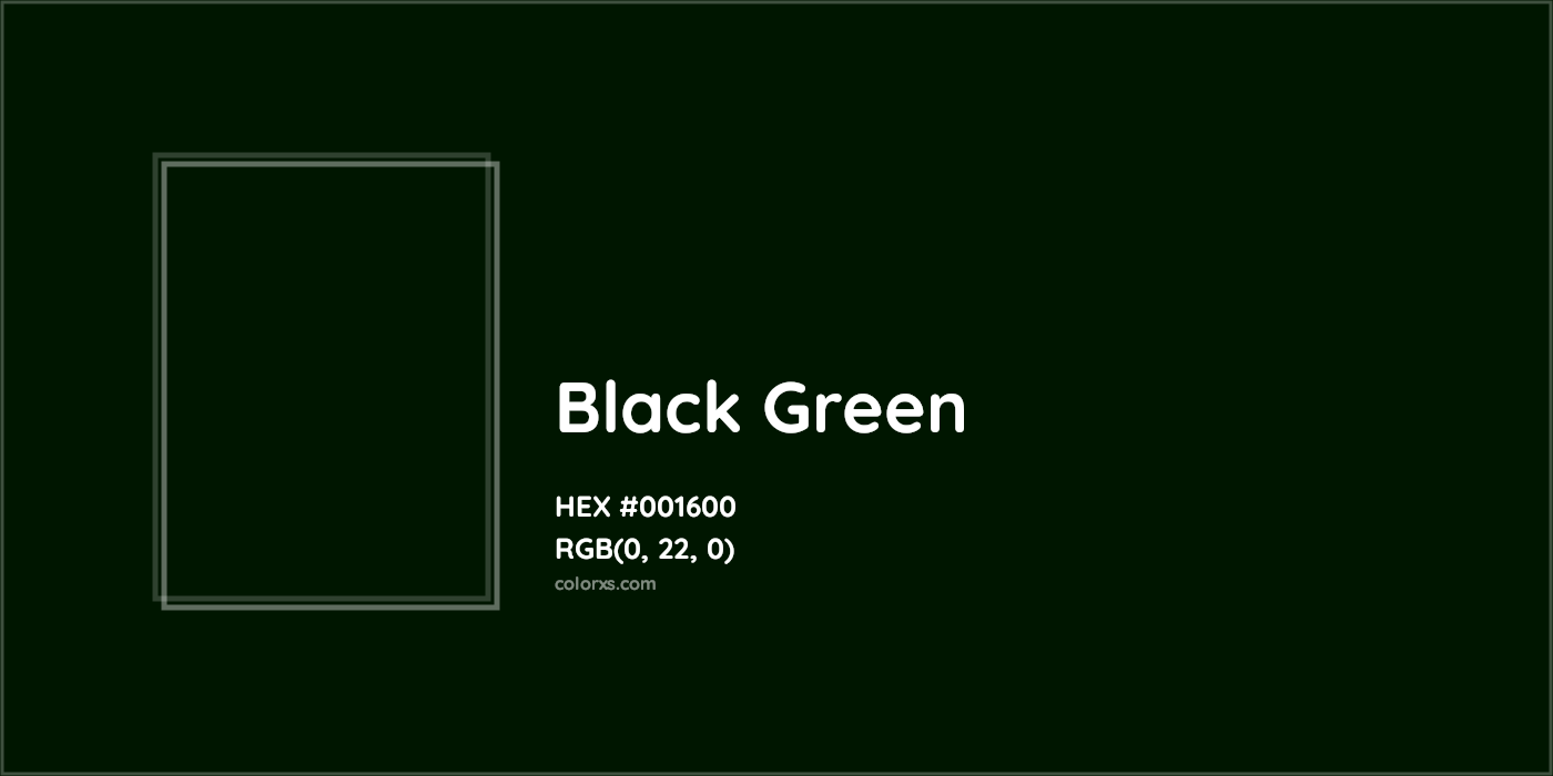 Dark Green #006400 Hex Color (Shades & Complementary Colors)